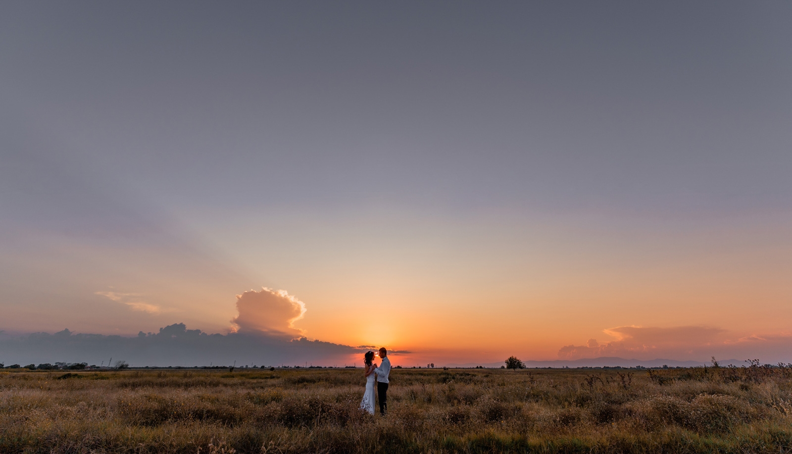 Wedding 230